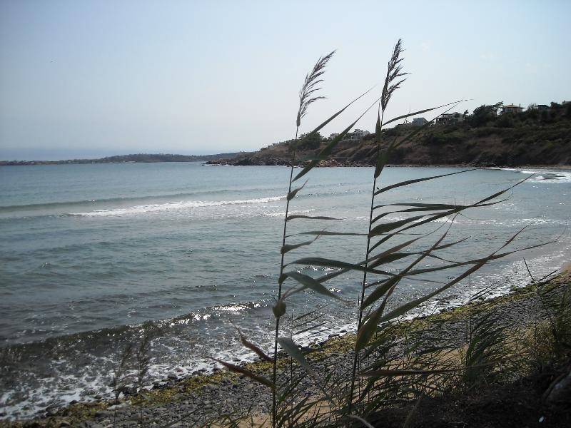 Black Sea Star Chernomorets Dış mekan fotoğraf