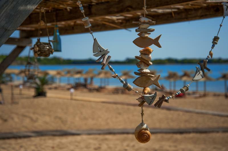 Black Sea Star Chernomorets Dış mekan fotoğraf
